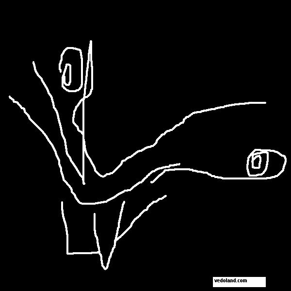 SNOT(1).gif