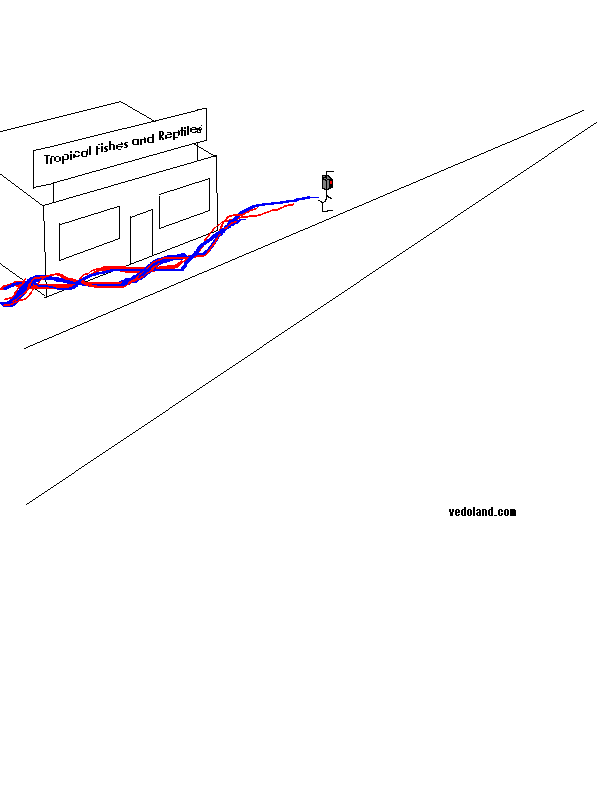 57099BINFL.gif