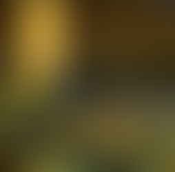 The Institute for Public Diplomacy invites civil society organizations, academics, and researchers