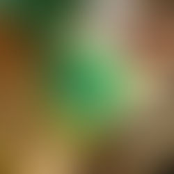 למה זה טוב העברות?