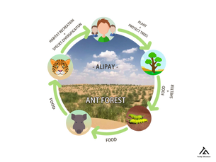 OMG bugs! Ducks! Ecosystem Revival through Ant Forest