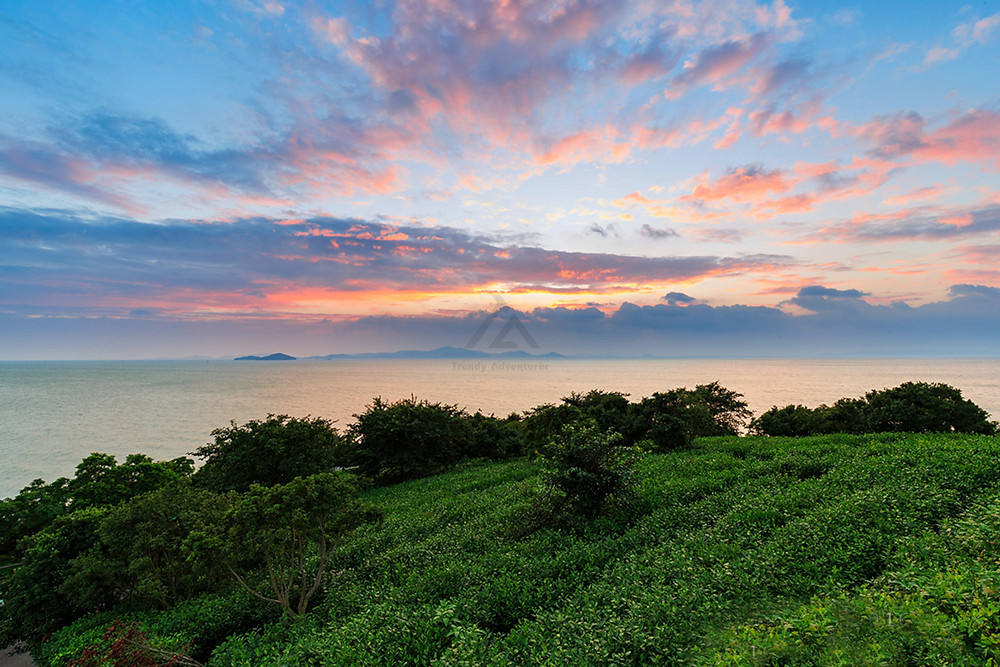 Pink and blue lake sunset from the roadside tea hills Lake Tai.