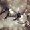 Thumbnail: Gratitude Tattoo