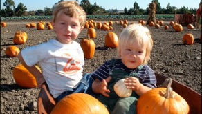 Consumption Meets Compassion on Halloween