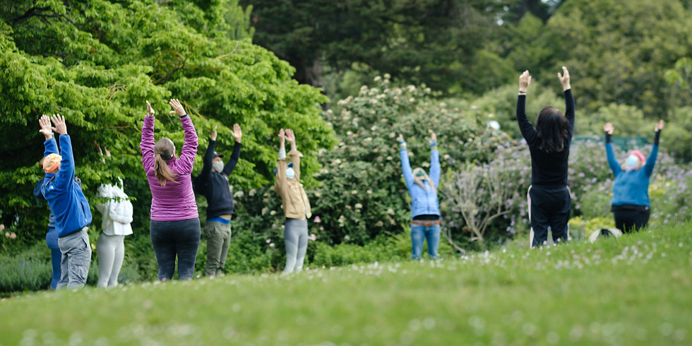 Half-Day Meditation Retreat in SFBG