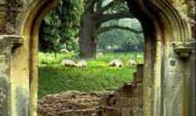 Embracing the Difficult as a Doorway to Love