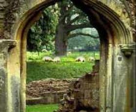 Embracing the Difficult as a Doorway to Love