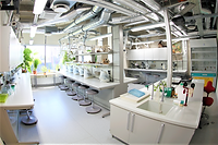 MOLECULAR SCIENCE LABORATORIES