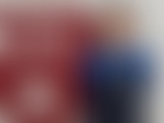 Sierra next to LEO logo