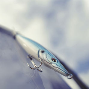 7 - CAPTAIN GUILLAUME - PECHE EN MER ILE DE RE - PECHE EN MER LA ROCHELLE - GUIDE DE PECHE