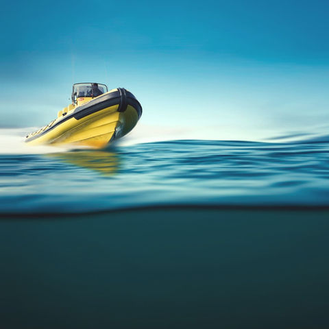 34 - CAPTAIN GUILLAUME - PECHE EN MER ILE DE RE - PECHE EN MER LA ROCHELLE - GUIDE DE PECH