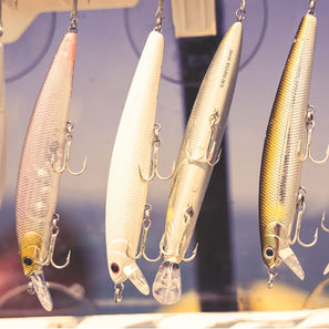 26 - CAPTAIN GUILLAUME - PECHE EN MER ILE DE RE - PECHE EN MER LA ROCHELLE - GUIDE DE PECH