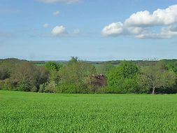 Landschaft .jpg