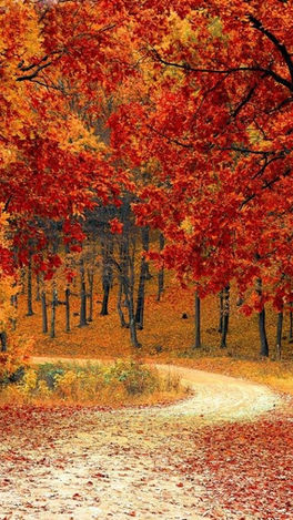 Reigate in Autumn