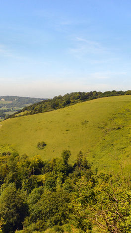 Colley Hill