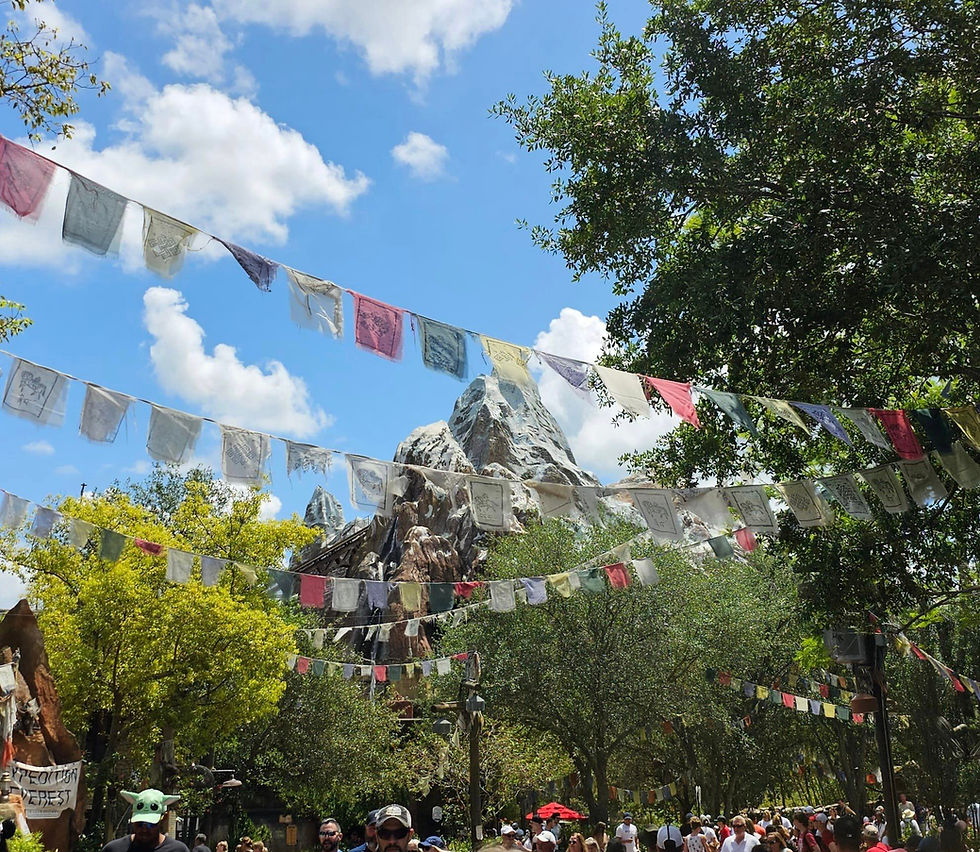 My Favorite Things: Disney's Animal Kingdom