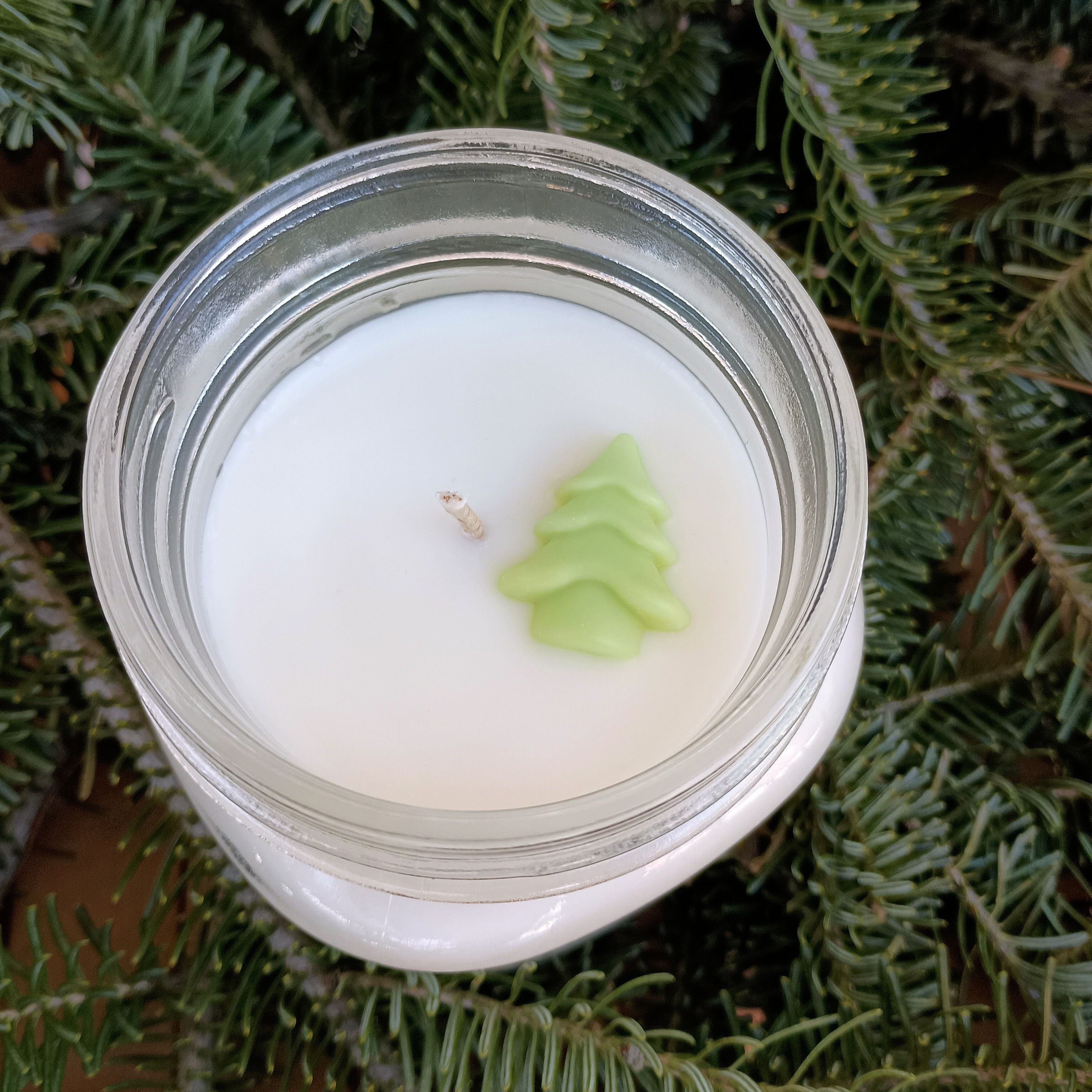 Fraser Fir