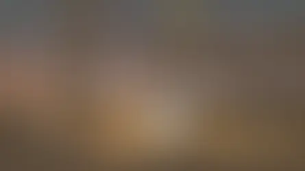 Job Vacancy: BIM Coordinator