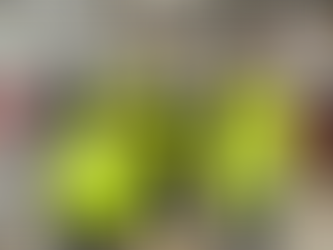 Year 11 Pupils visit fairwater community campus and leave their mark on their future school