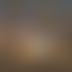 Job Vacancy: Quotation Administrator