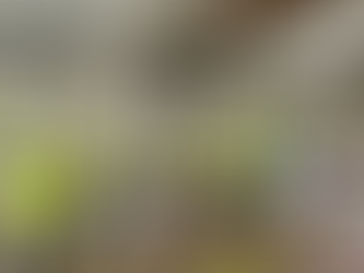 Year 11 Pupils visit fairwater community campus and leave their mark on their future school