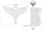 Plate 263 Ika Moana species key