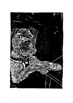 Pauls dog