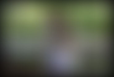 Advanced Scent Detection