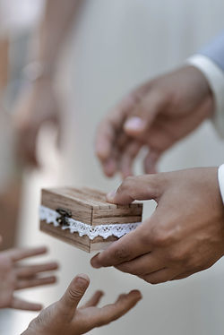 (C) Alexandra Sellier - Photographe - Provence & Côte d'Azur-50.jpg