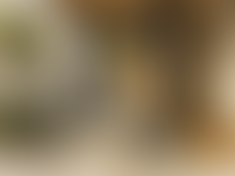 Thresholds in Architecture: Defining Transitions Between Space, Experience, and Meaning