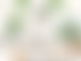 Top 7 Things That Harm Your Indoor Plants and How to Avoid Them