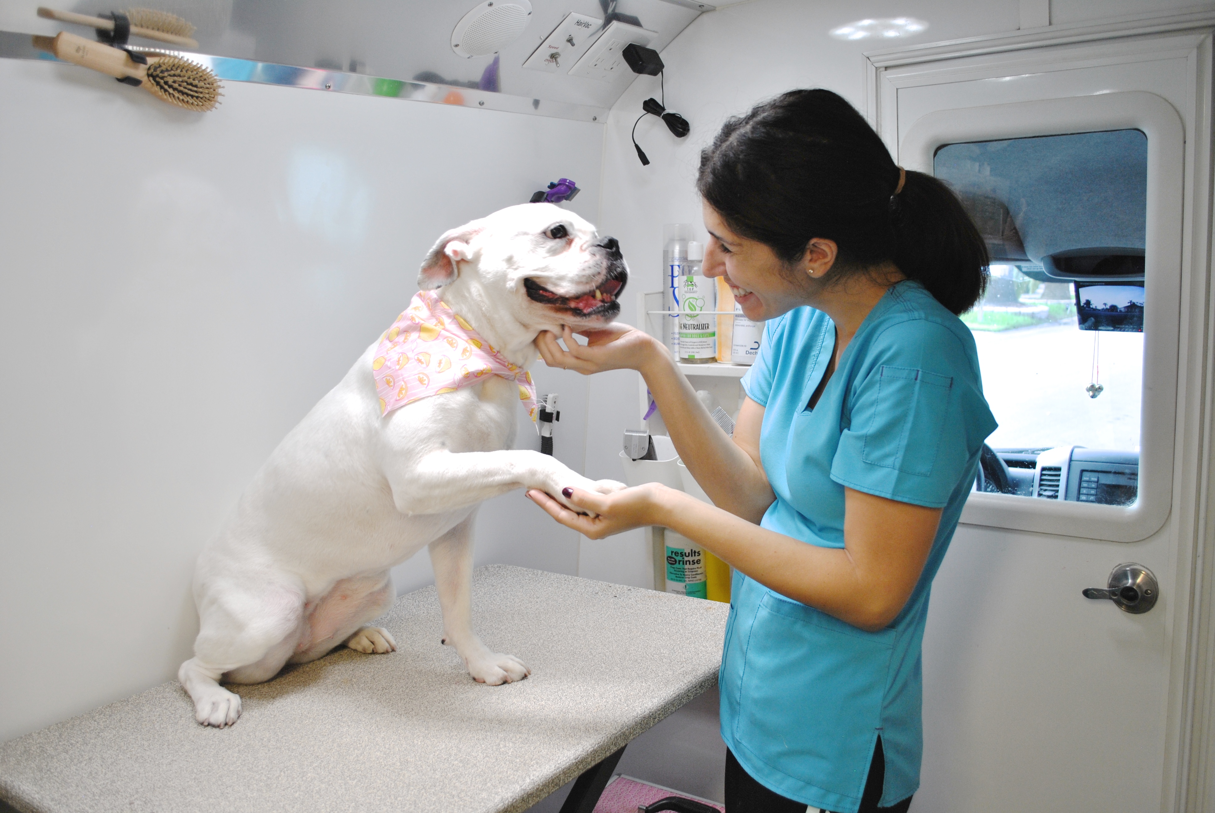 BEST IN SHOW PET SPA MOBILE GROOMING CORAL GABLES MIAMI