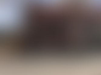 The Language Exchange!