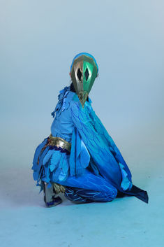 Bulbul Costume