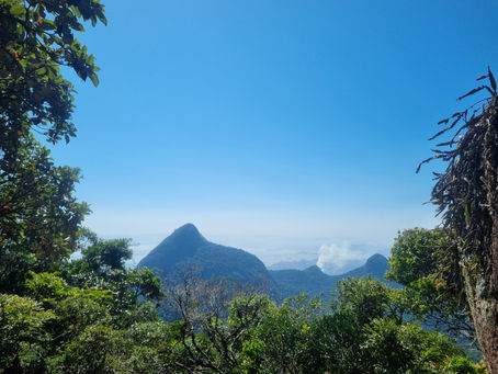 Começando pelo limite