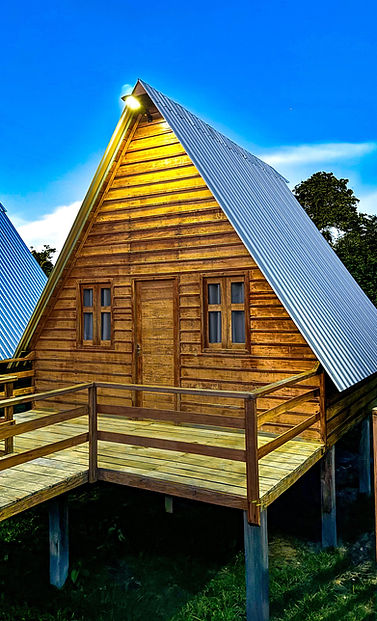 WhatsApp Image 2026-04-06 at 21.07.59.jpeg