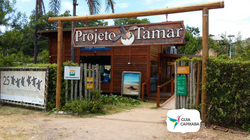 Projeto Tamar