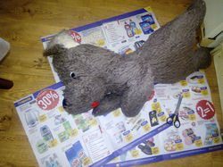 Начало работы сплющенный пес