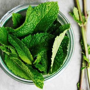 Peppermint Leaves