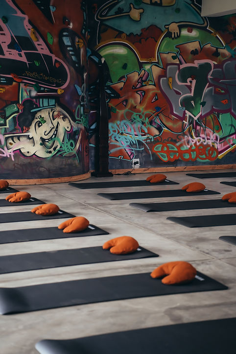 Image from Iviemedia.jpg