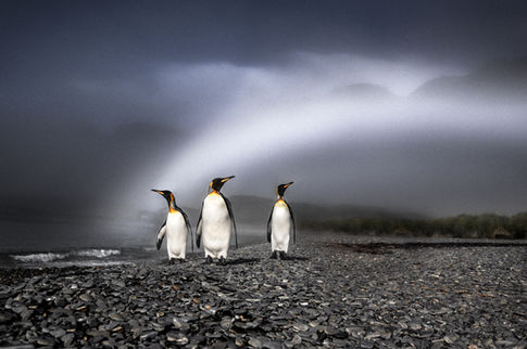 silver lining 30xrip