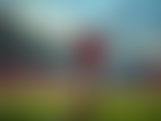 Beşiktaş Taraftarları İçin Yazılar ve Fotoğraflar