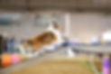 6V0A8899.jpg