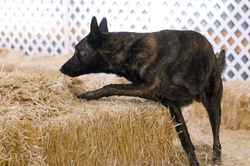 2C037B43-1D51-4176-A7FC-09EA895B1BA9_1_100_o