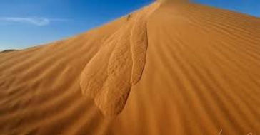 images 11.jpg