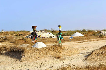 photos-sine-saloum-senegal-210.jpg