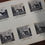 Miniature : Dépôt d'étalons d'Angers (1905). 78 photographies originales. Album. Rare