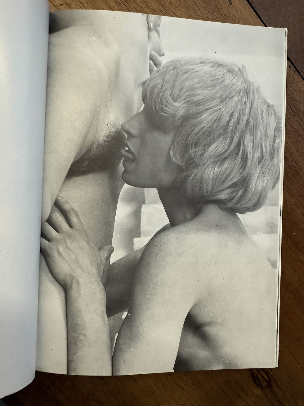 Miniature : 1973 | Vertiges orgiaques par Annie Sackis | Roman-Photos érotique