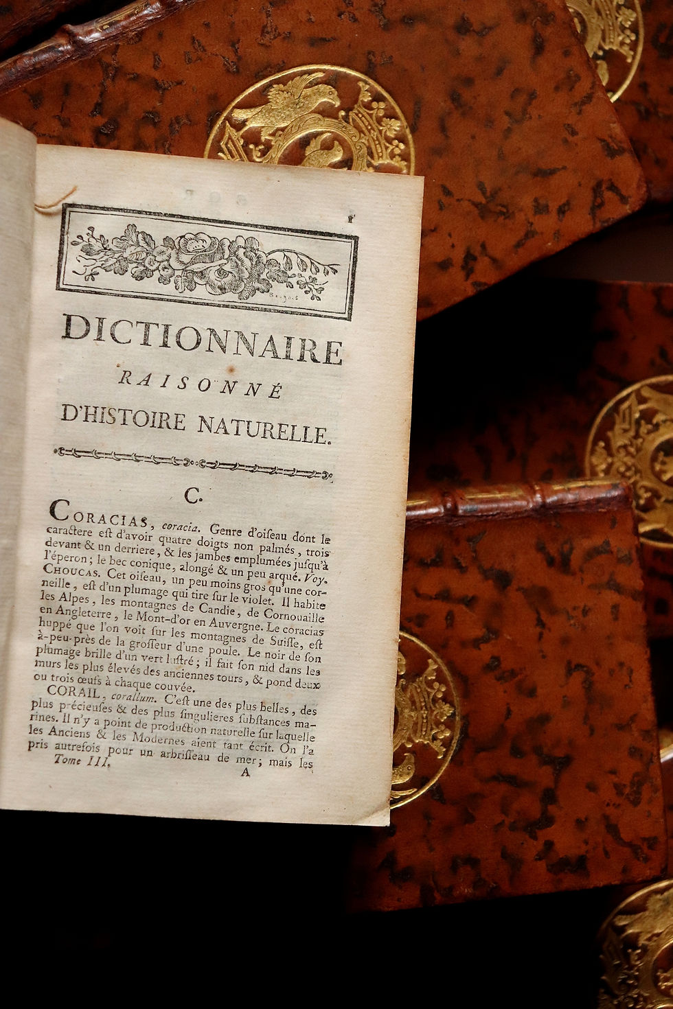 Miniature : Valmont de Bomare. Dictionnaire d'Histoire Naturelle. Exemplaire relié aux armes