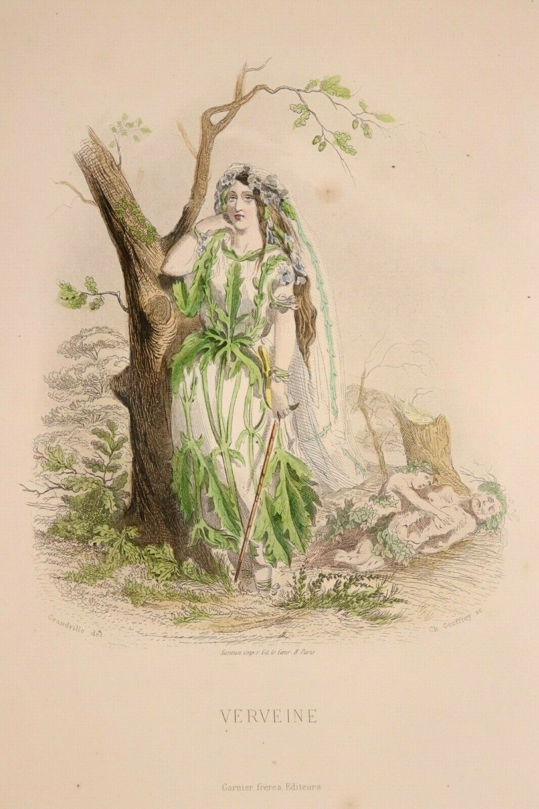 Grandville Estampe originale aquarellée Fleurs animées 1867 Verveine
